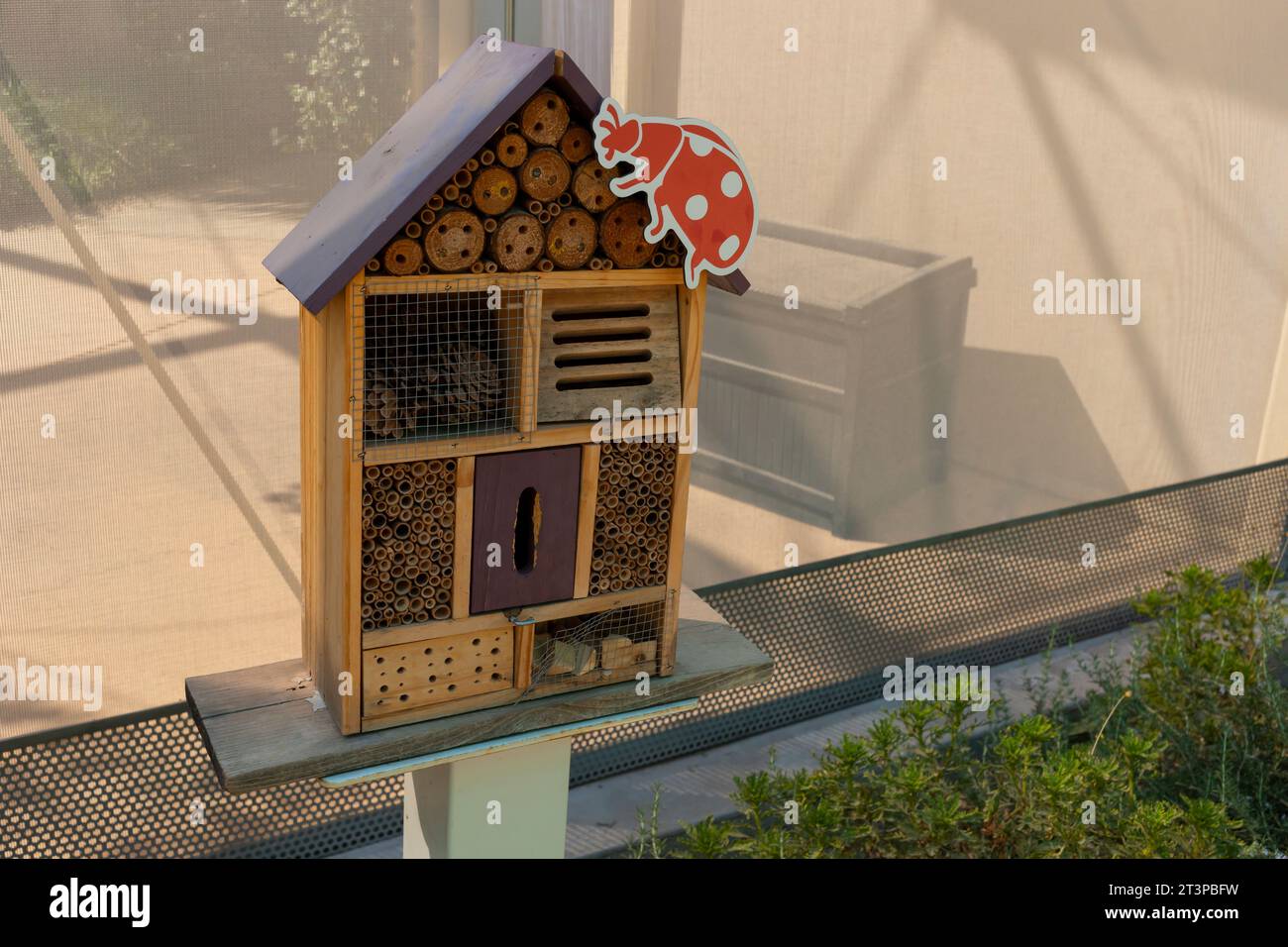 Bug Hotel, Wooden Insect House, Ladybird And Bee, Fly. Compartments And Natural Components. Outdoor Eco Home For Butterfly Hibernation And Ecological Stock Photo
