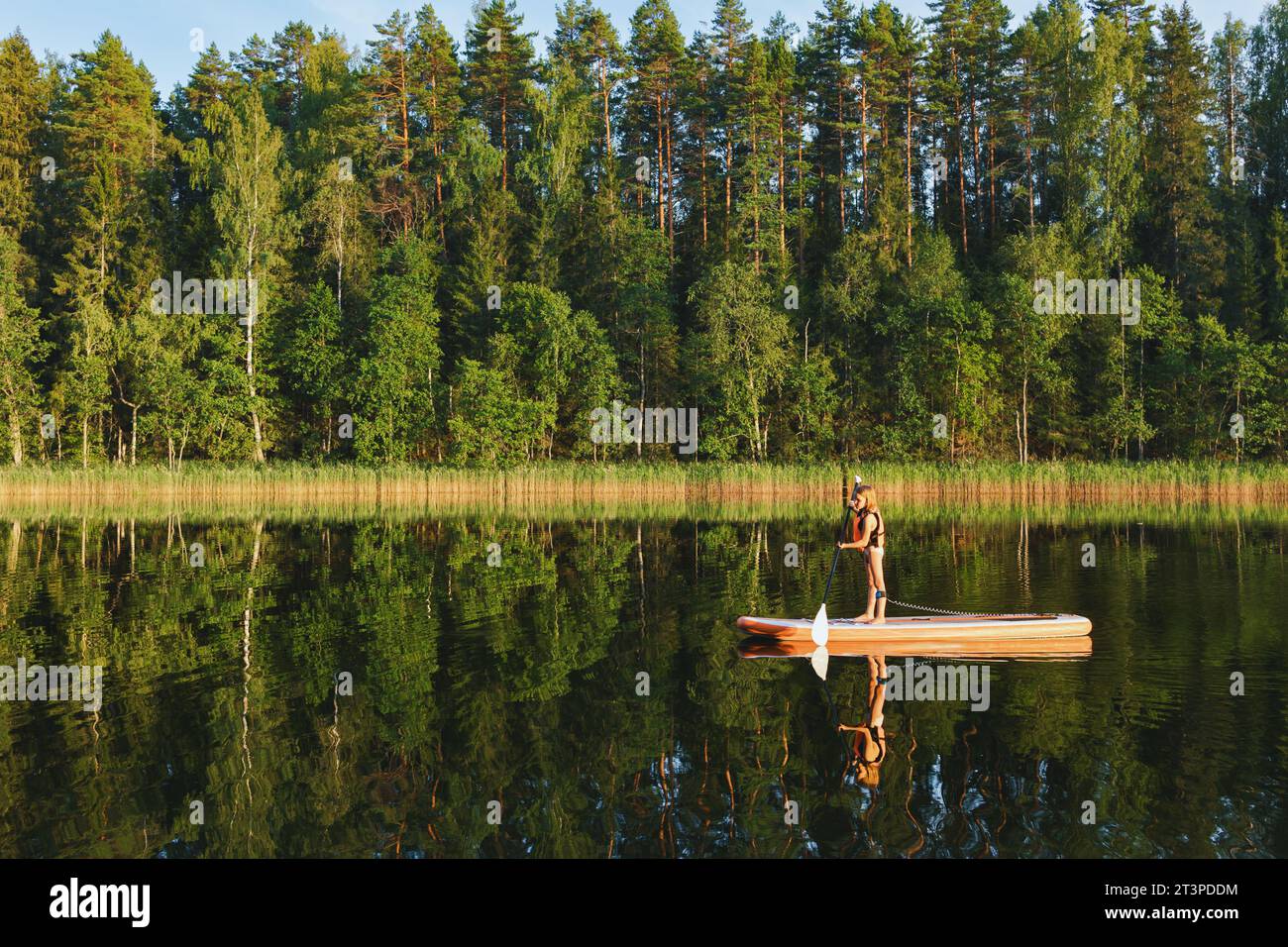 Little girl wearing life jacket paddling on a standup paddleboard (SUP) on a forest lake during