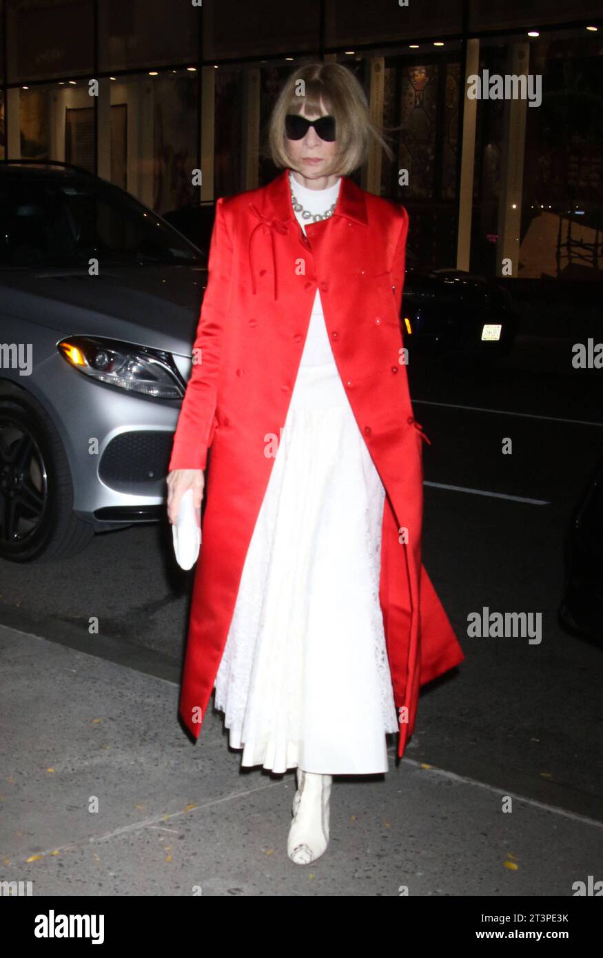 NEW YORK, NY- OCTOBER 25: Anna Wintour at the 25th Anniversary of the ...