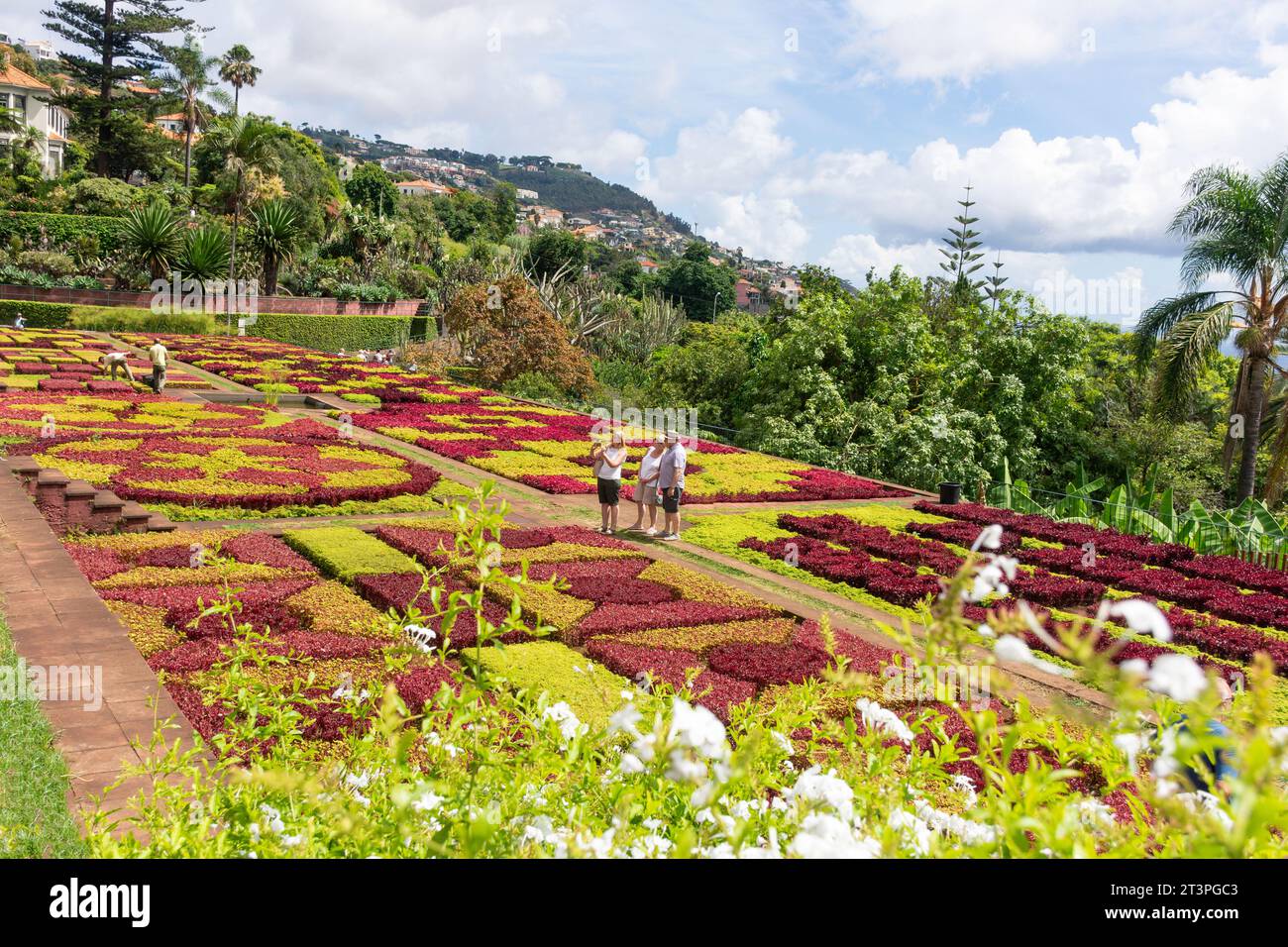 Choreographed garden at Jardim Botânico da Madeira (Madeira Botanical Garden), Monte, Funchal, Madeira, Portugal Stock Photo