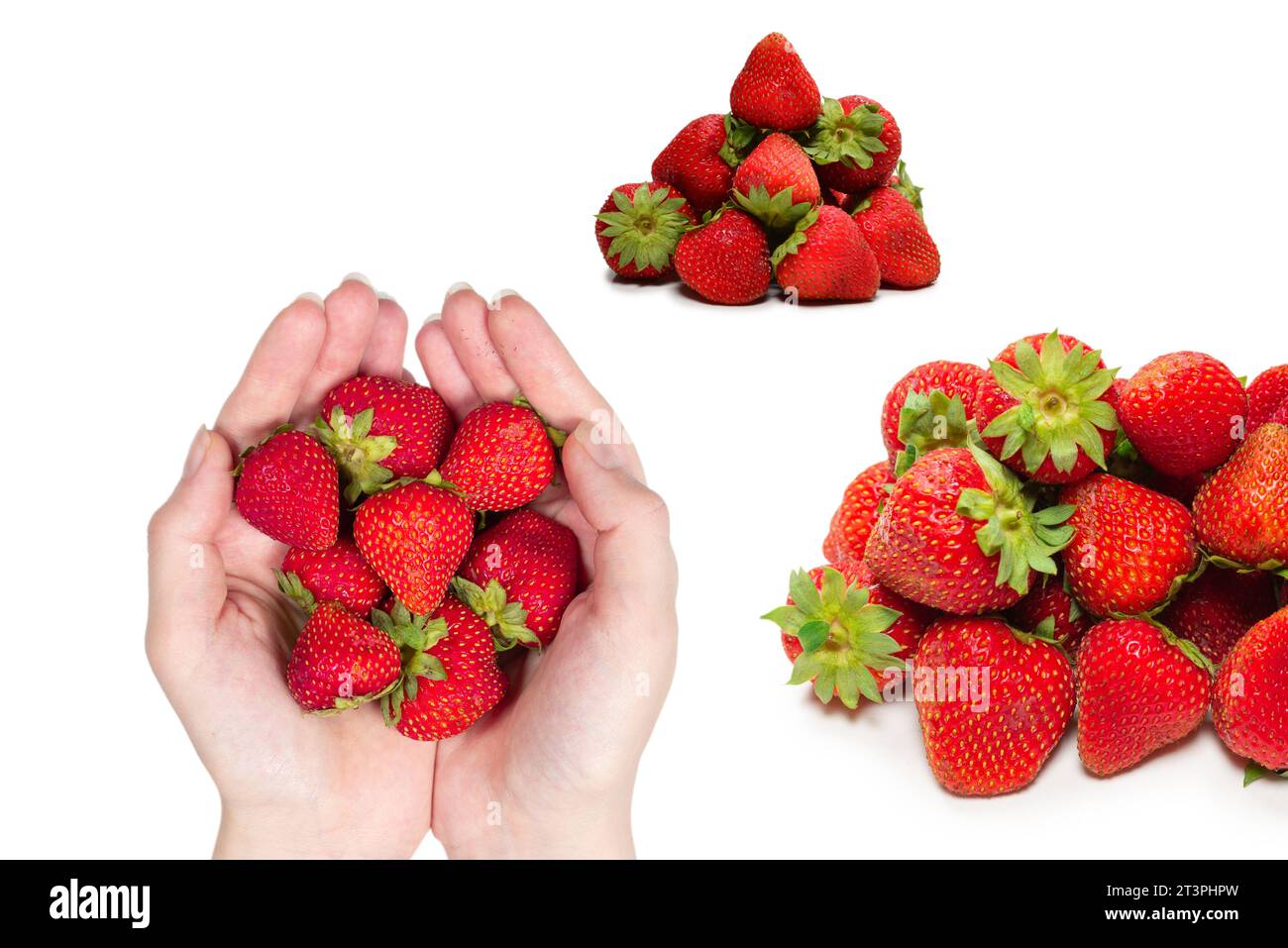Strawberry kept in hands isolated on white background Stock Photo - Alamy