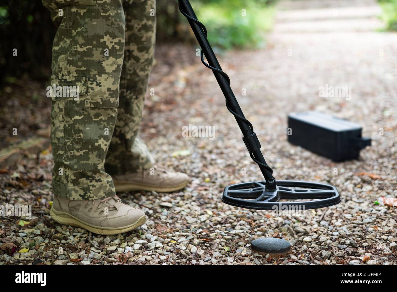 Military sapper with a metal detector in the field. Ukrainian Explosive Ordnance Disposal Officer detecting metal by metal detector device. High quali Stock Photo