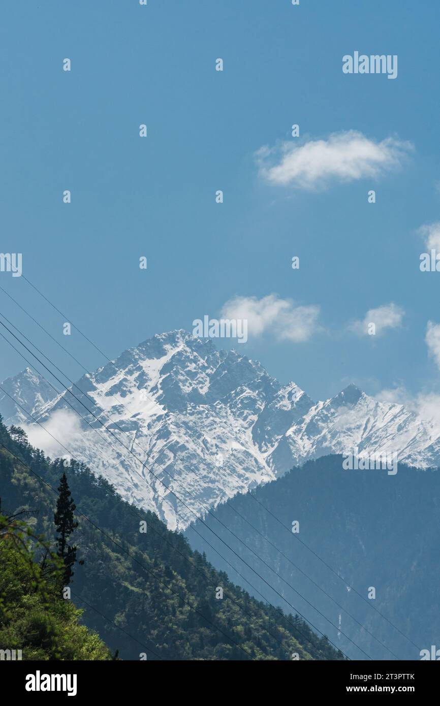 The forest under the blue sky and white clouds Stock Photo - Alamy