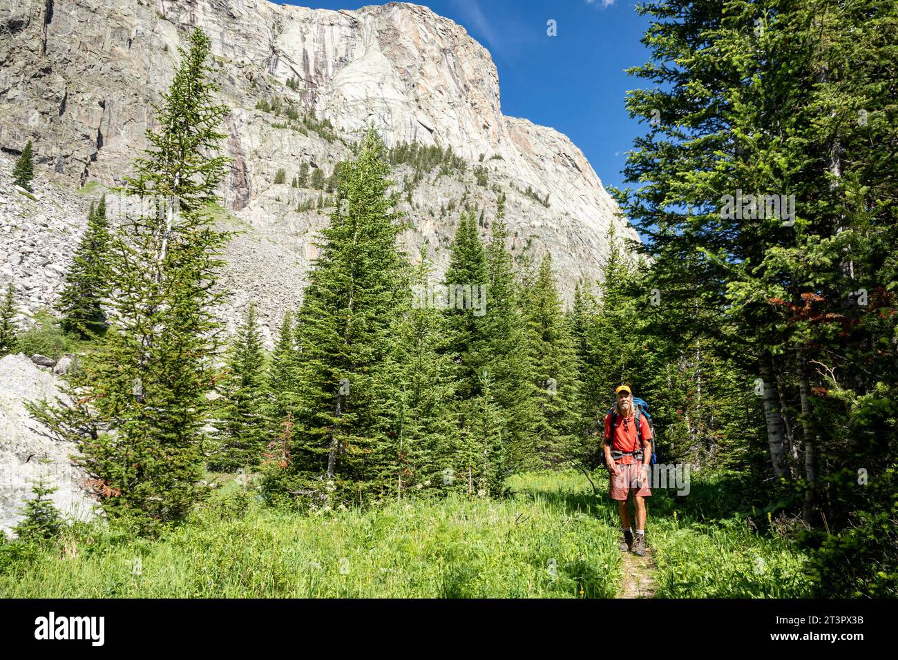 WY05358-00...WYOMING - Hiker near the base of the Doubletop Mountain Trail in Palmer Canyon of the Bridger Wilderness; Wind River Range. Stock Photo