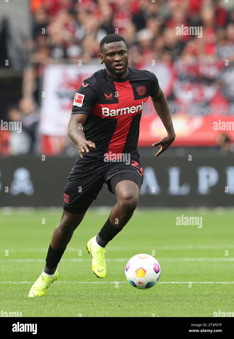 Leverkusen, Deutschland. 08th Oct, 2023. firo October 8th, 2023