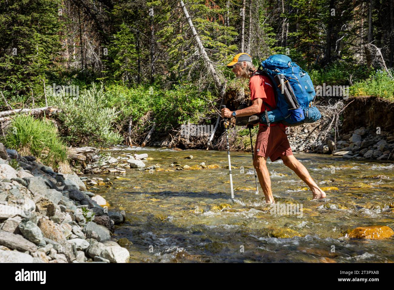 WY05362-00...WYOMING - Carefully fording the slippery rocks in Reynolds Creek on Palmer Lake Trail in the Bridger Wilderness; Wind River Range. Stock Photo