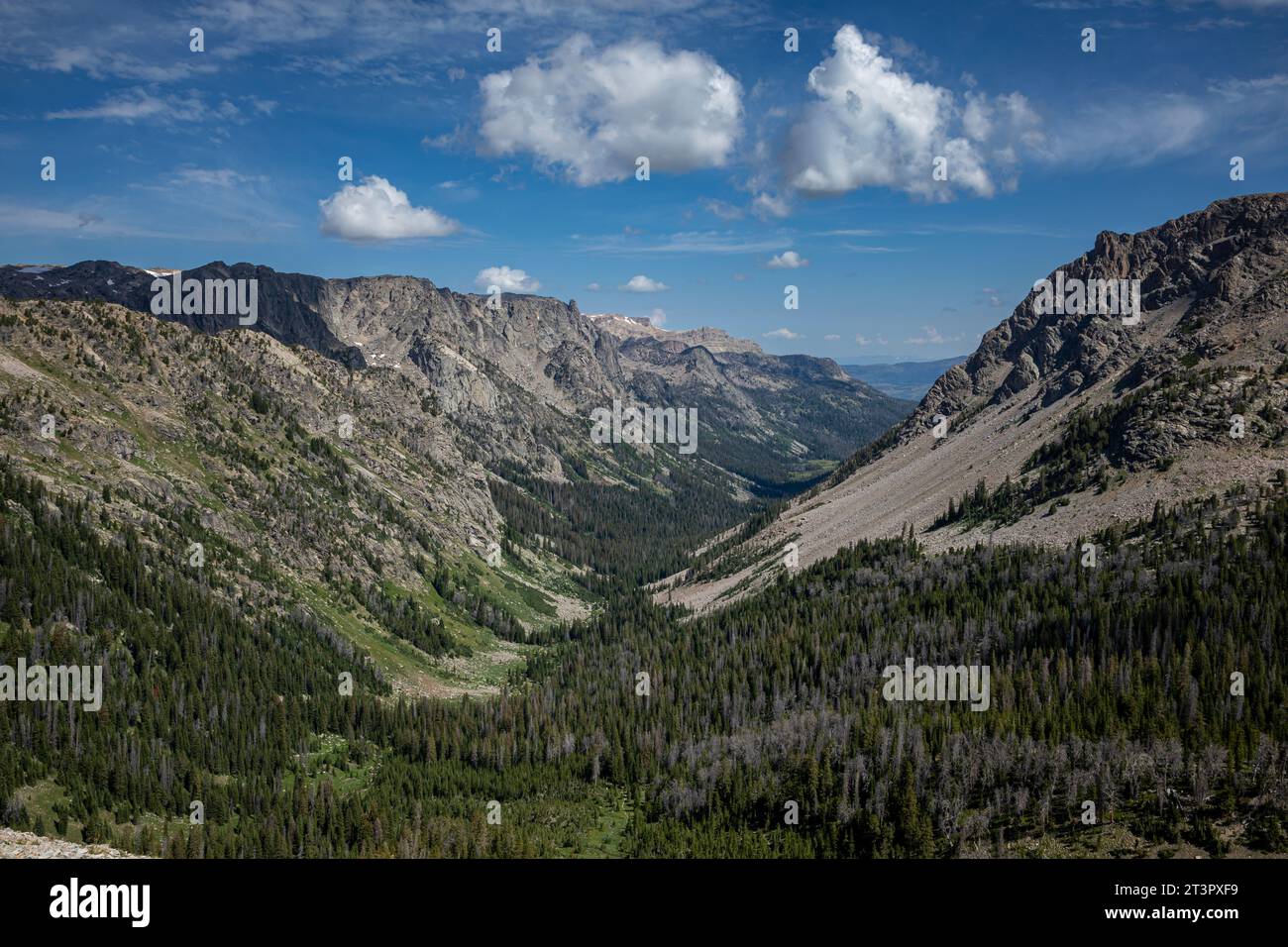WY0537200...WYOMING Porcupine Creek Valley viewed from Porcupine