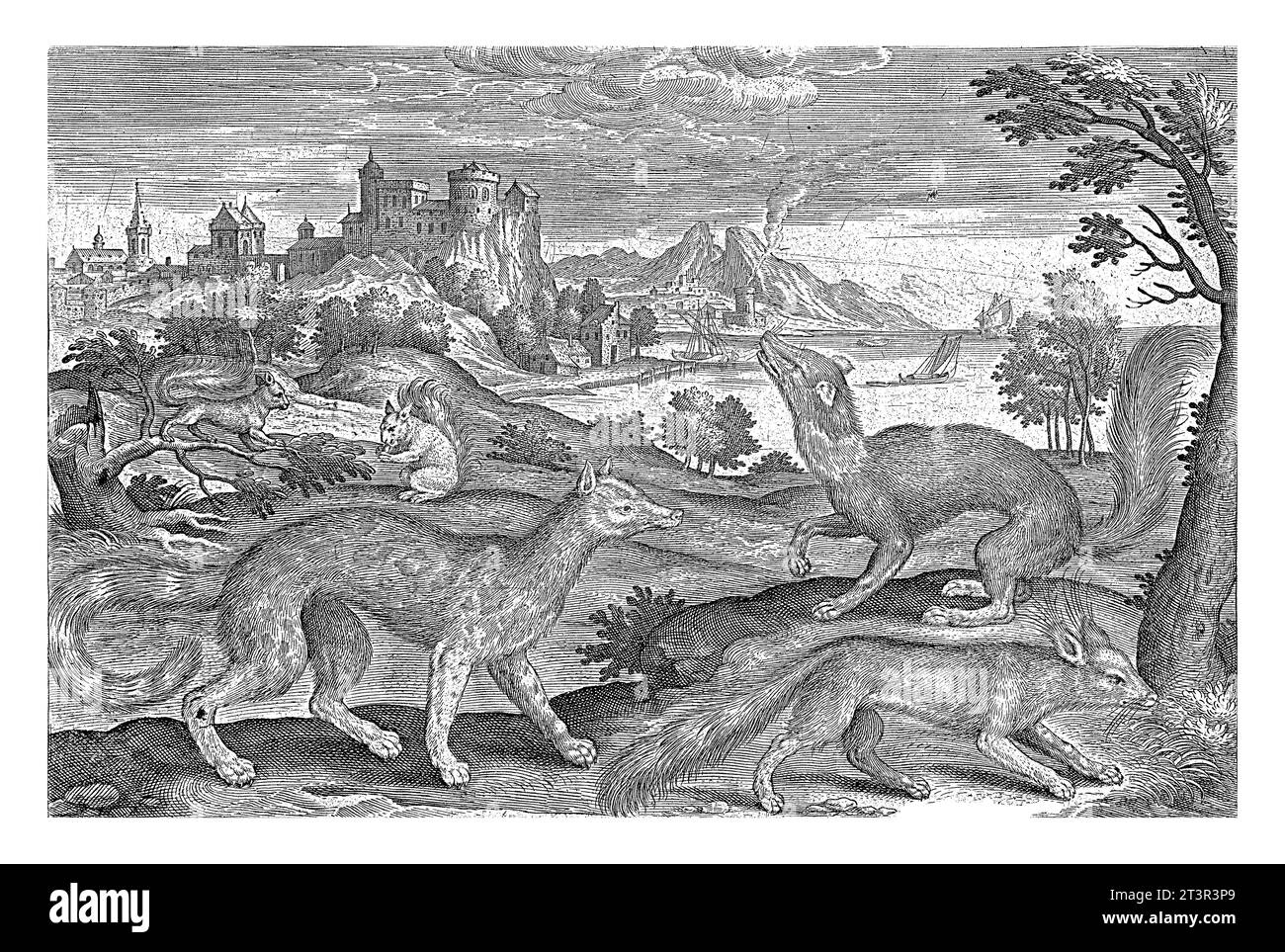 Martens, squirrels and a fox, Adriaen Collaert, 1595 - 1599 In the foreground a fox, a marten and a spotted polecat. In the background a two squirrel Stock Photo