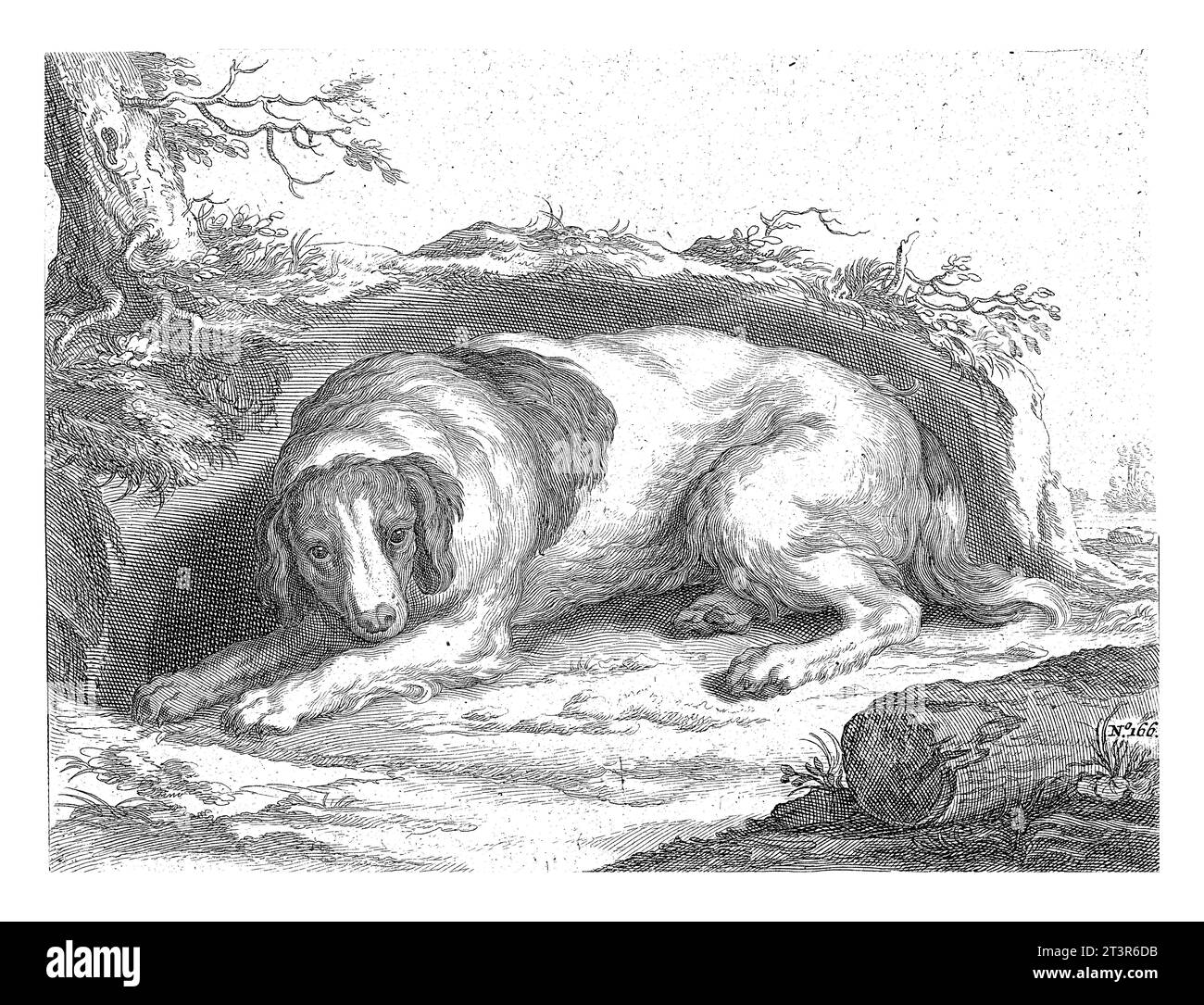 Spaniel, Frederick Bloemaert, after Abraham Bloemaert, 1740 A dog rests in front of a rock at the foot of a tree. Stock Photo