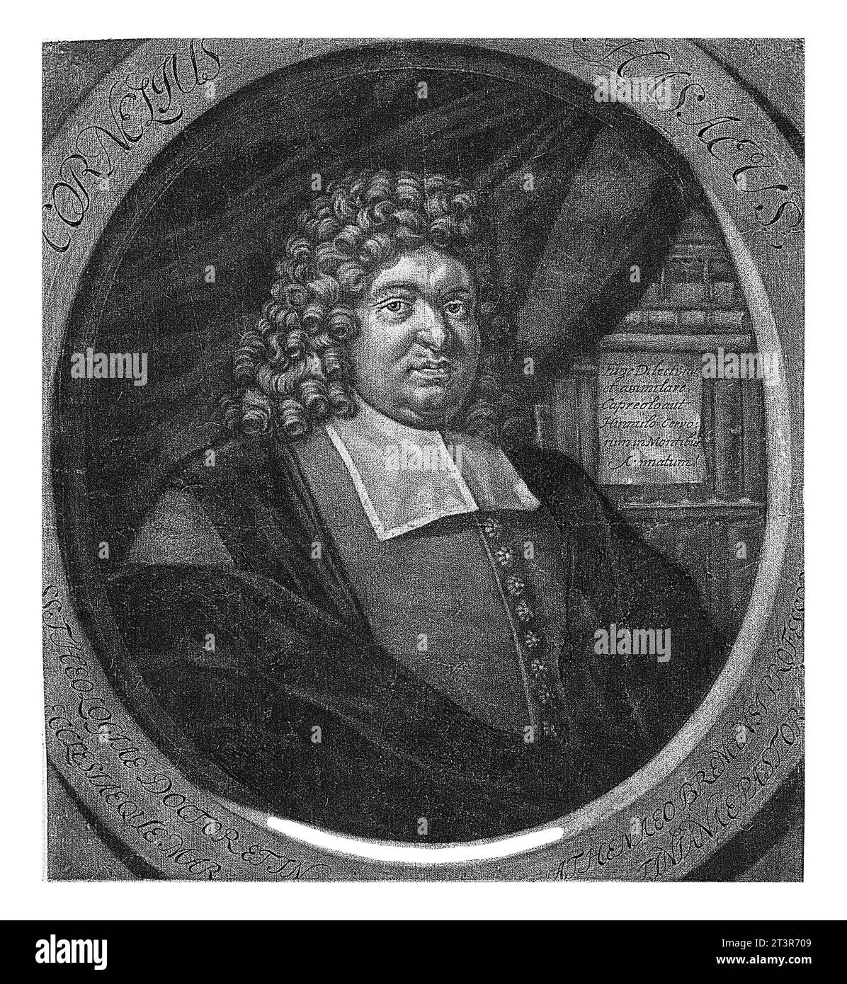 Hasaeus hires stock photography and images Alamy