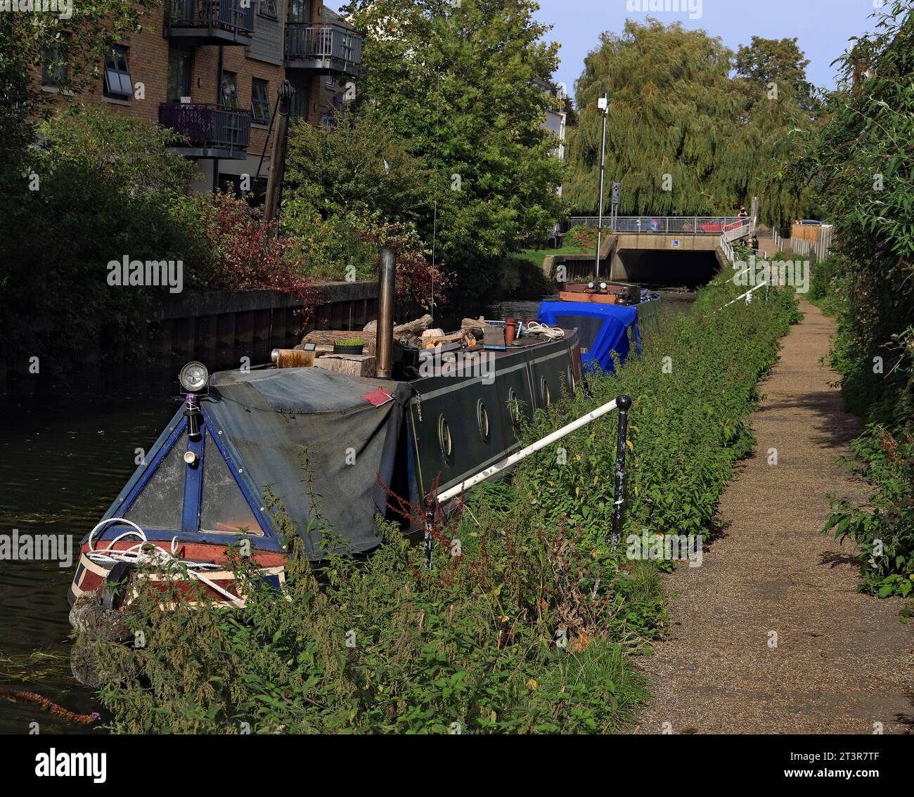 Narrow boats moored near the limit of navigation on the River Stort in Bishop’s Stortford on 7.10.2023. Stock Photo
