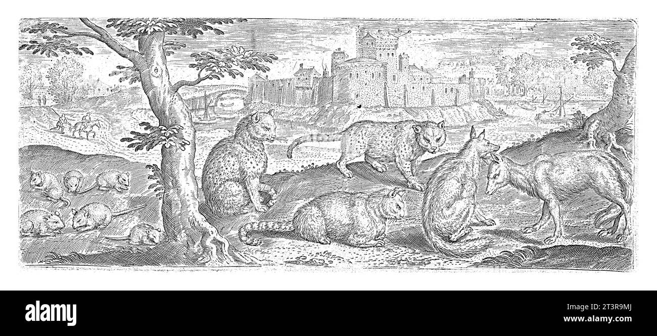 A collection of rats, cats and foxes. Seven rats left. three cats in the middle and two foxes on the right. The animals lie, sit or stand. In the back Stock Photo