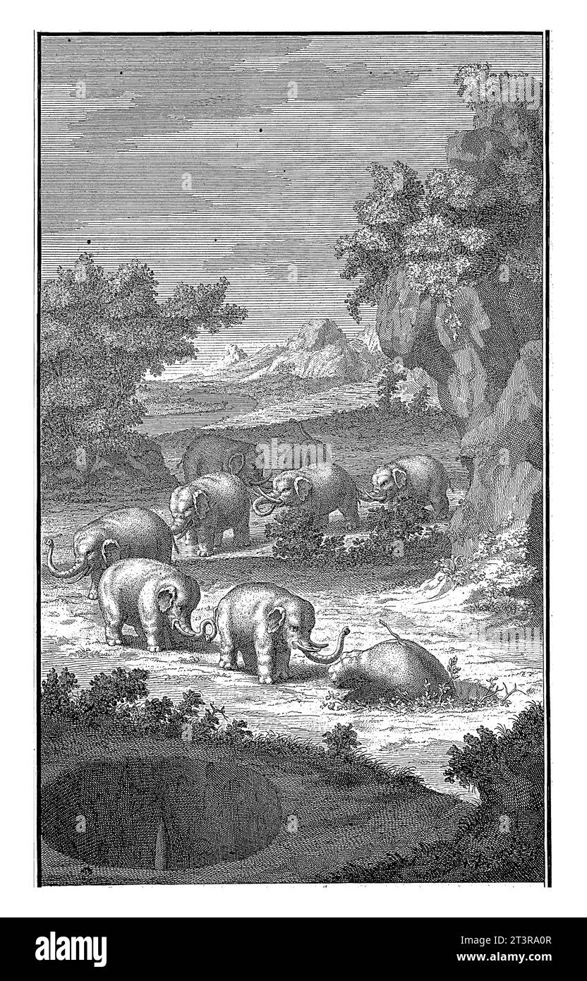 Landscape with Khoi Hunting Elephants, Jan Caspar Philips, 1727 Landscape with a procession of elephants, the front of the herd falling into a hole du Stock Photo
