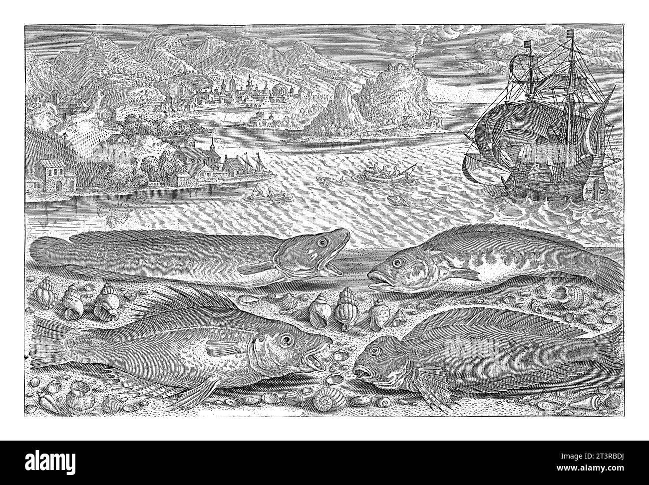 Four fish on the beach, Adriaen Collaert, 1627 - 1636 A gaff cod, a grouper, a horned blenny and a black fish are washed up on the beach along with so Stock Photo