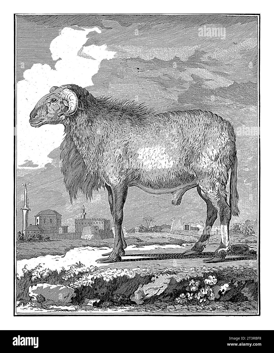 Tringham Jacques de seve Black and White Stock Photos & Images - Alamy