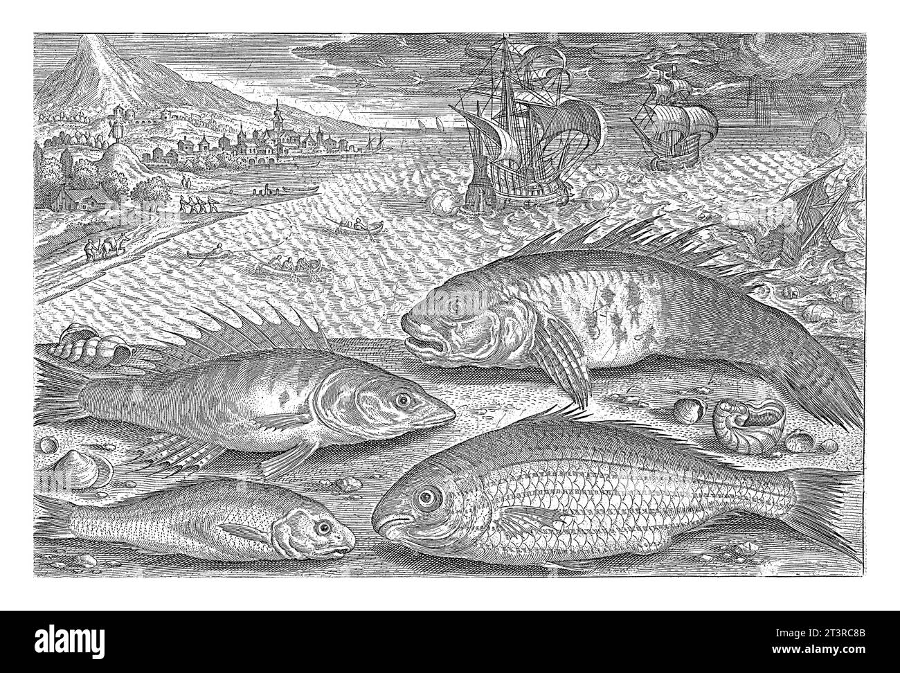 Four fish on the beach, Adriaen Collaert, 1627 - 1636 A boxfish, a perch, a gudgeon and an unknown fish are washed up on the beach along with some she Stock Photo