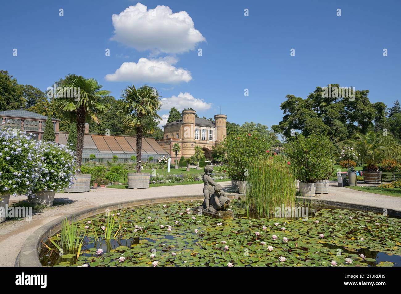 Botanischer Garten Karlsruhe, Hans-Thoma-Straße, Karlsruhe, Baden-Württemberg, Deutschland Stock Photo