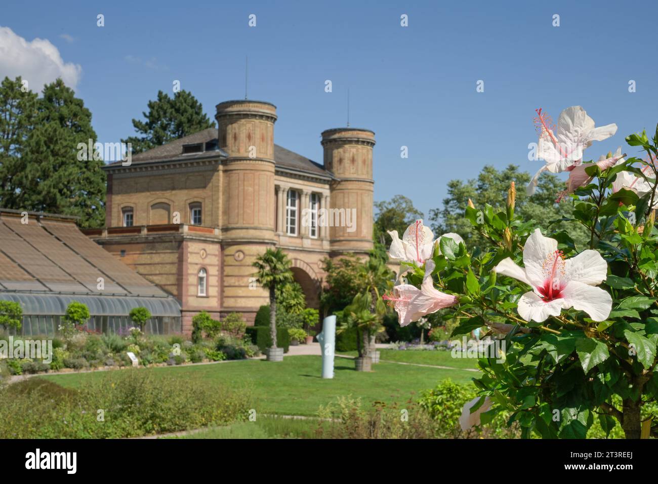 Torbogensaal, Botanischer Garten Karlsruhe, Hans-Thoma-Straße, Karlsruhe, Baden-Württemberg, Deutschland Stock Photo