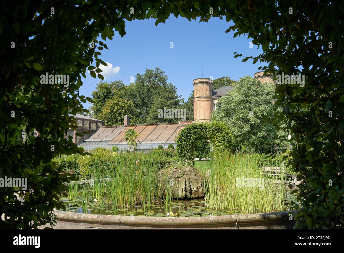 Botanischer Garten Karlsruhe, Hans-Thoma-Straße, Karlsruhe, Baden-Württemberg, Deutschland *** Botanical Garden Karlsruhe, Hans Thoma Straße, Karlsruhe, Baden Württemberg, Germany Credit: Imago/Alamy Live News Stock Photo