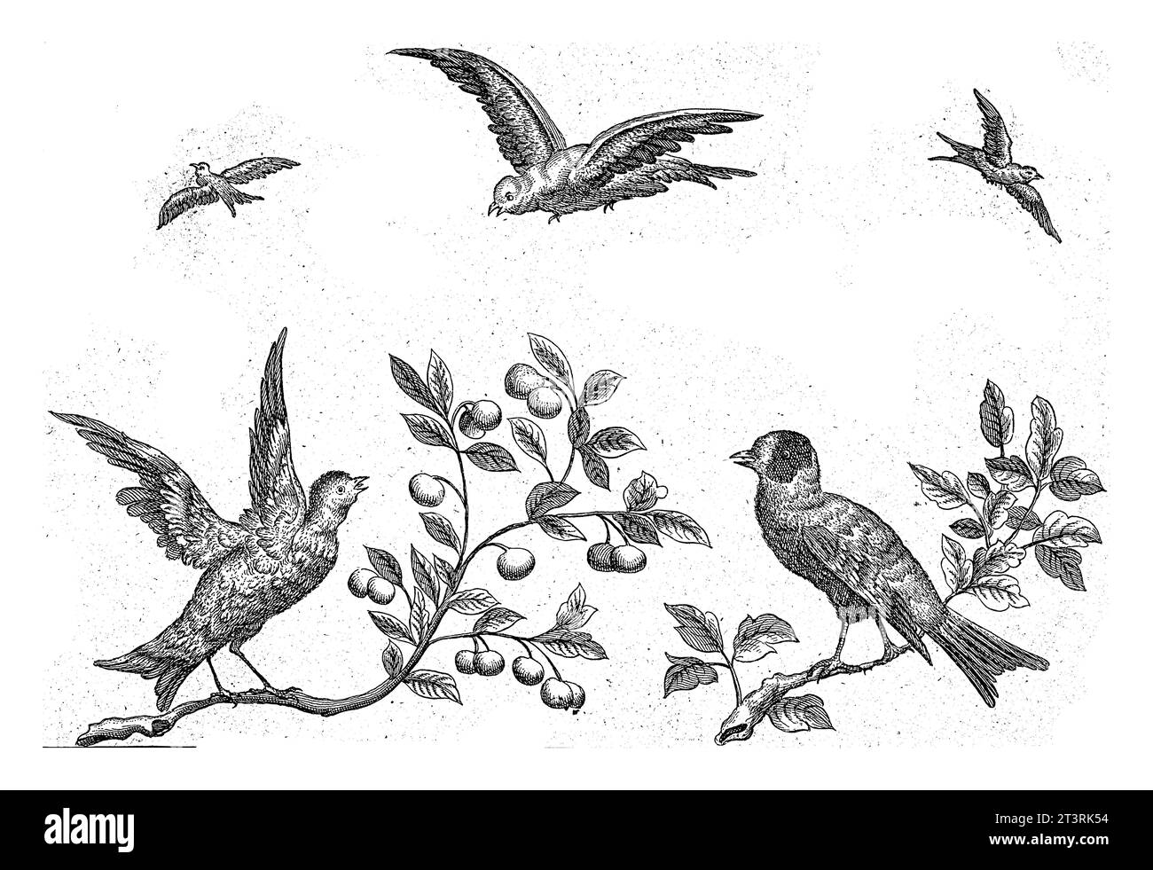 Two birds on a branch and three birds in the sky, Pieter Schenk (I