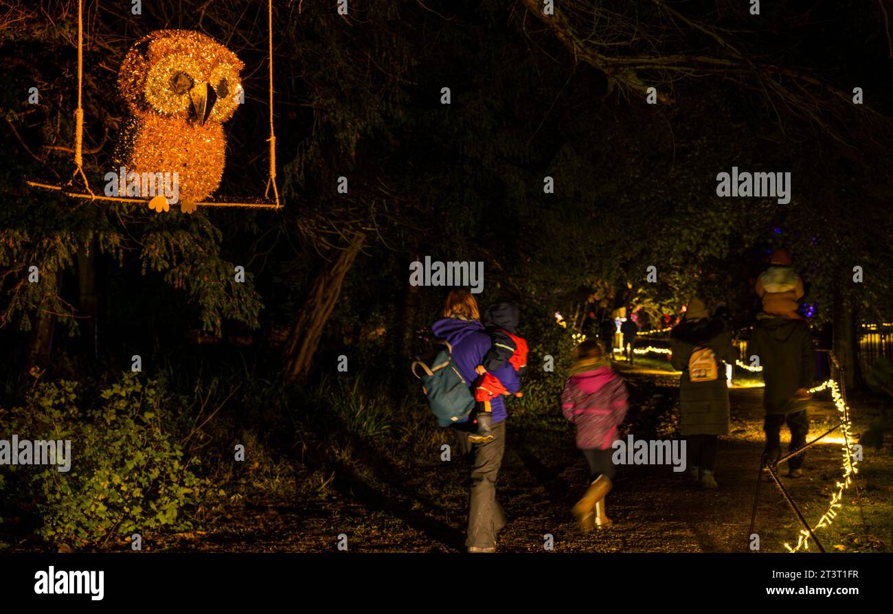 Gosford Estate, East Lothian, Scotland, UK, 26th October 2023. Wondrous Woods Illuminations event: visitors enjoy the night event in the grounds of Gosford House. Credit: Sally Anderson/Alamy Live News Stock Photo