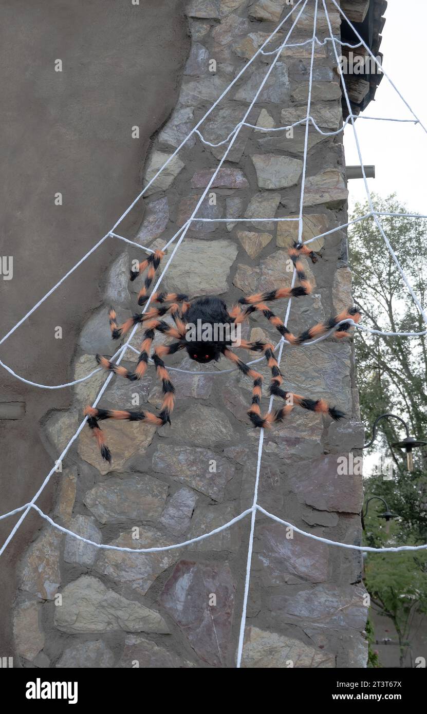 Ornamental spider on web decoration outside wooden door Stock Photo