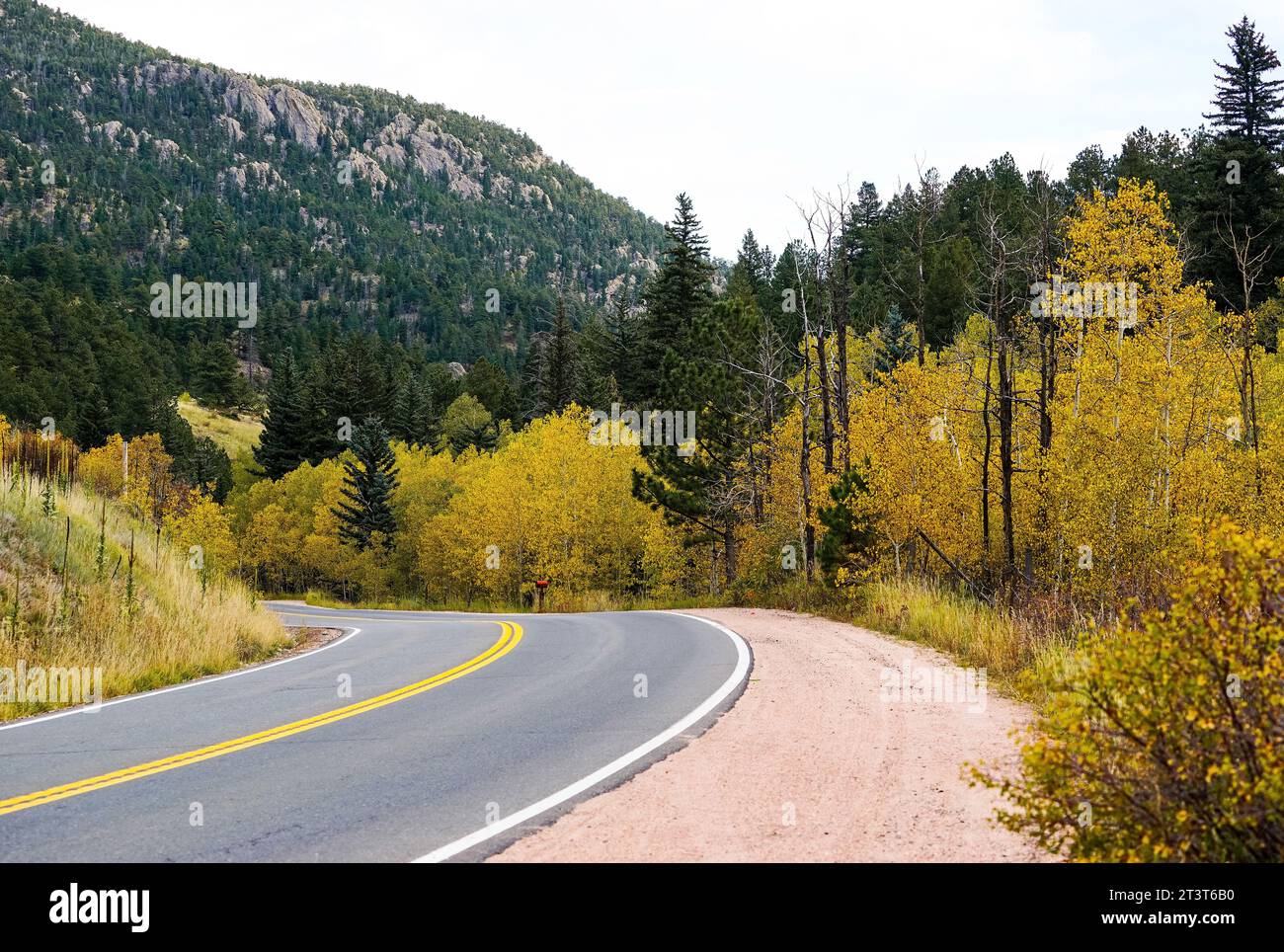 A winding road runs through Golden Gate Canyon State Park in Colorado with changing Aspen trees lining the road, and pines trees high up the mountains Stock Photo