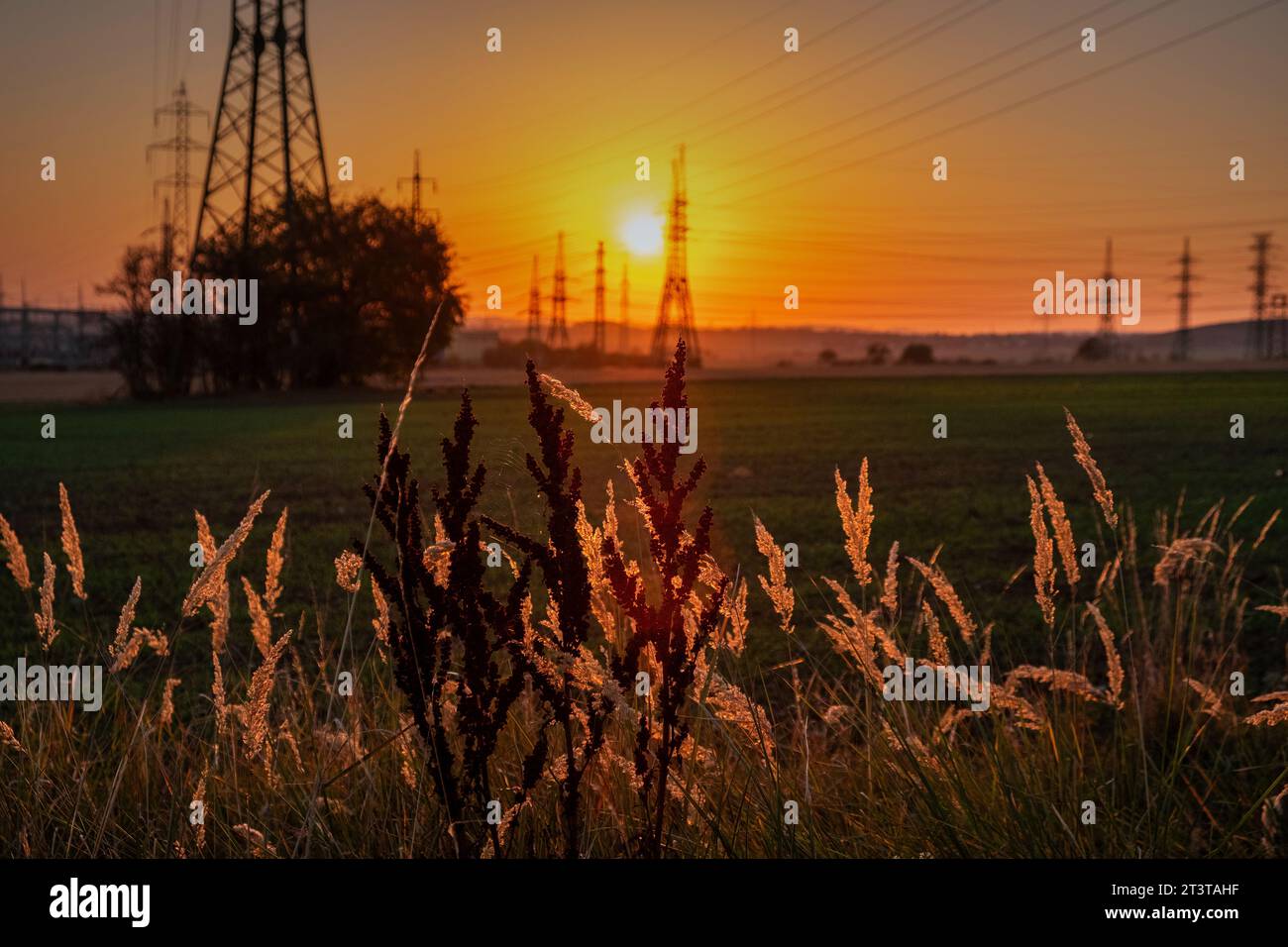 power plant behind the sun-drenched grasses, sunset behind power station Stock Photo