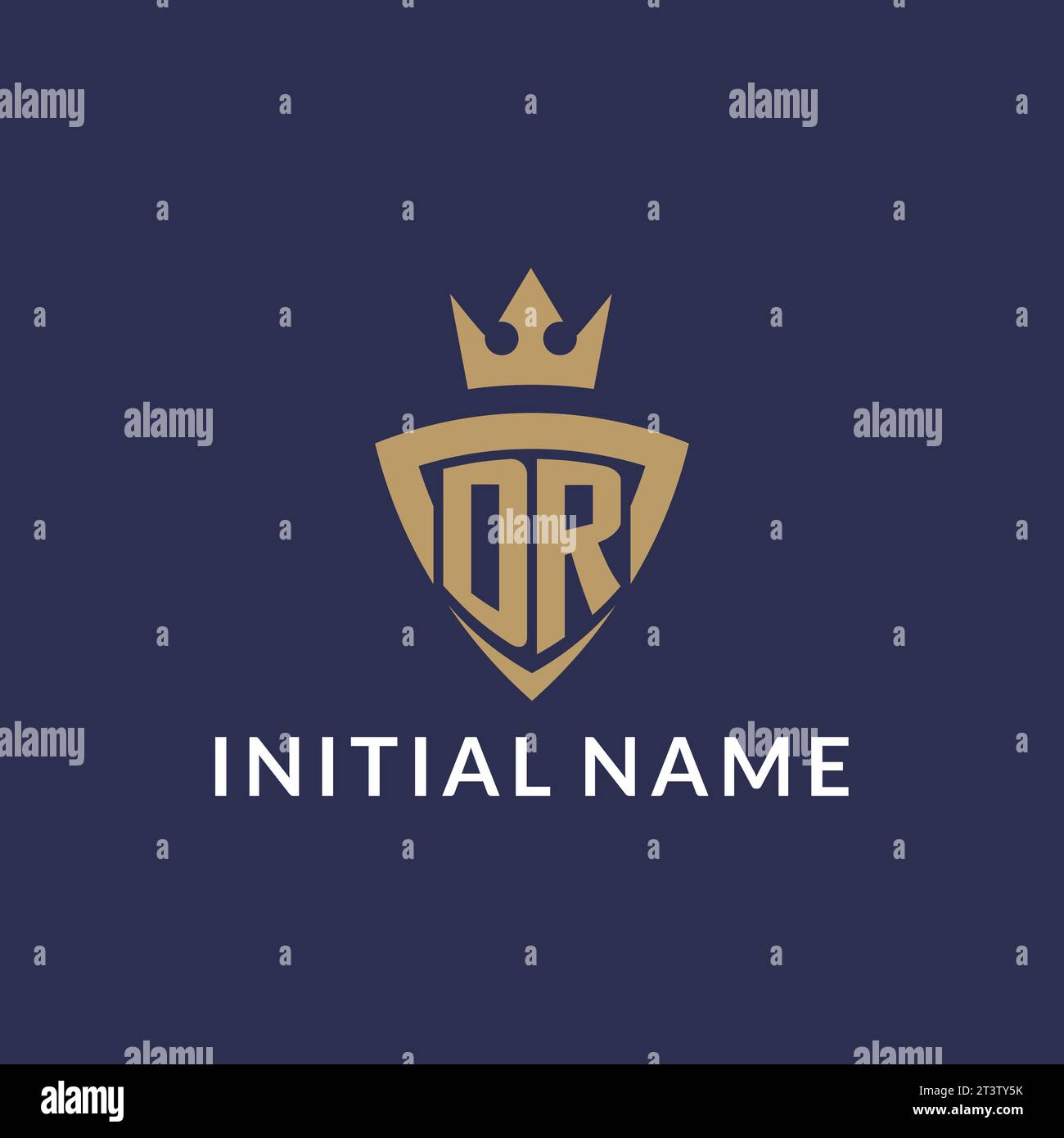 DR logo with shield and crown, monogram initial logo style vector file Stock Vector