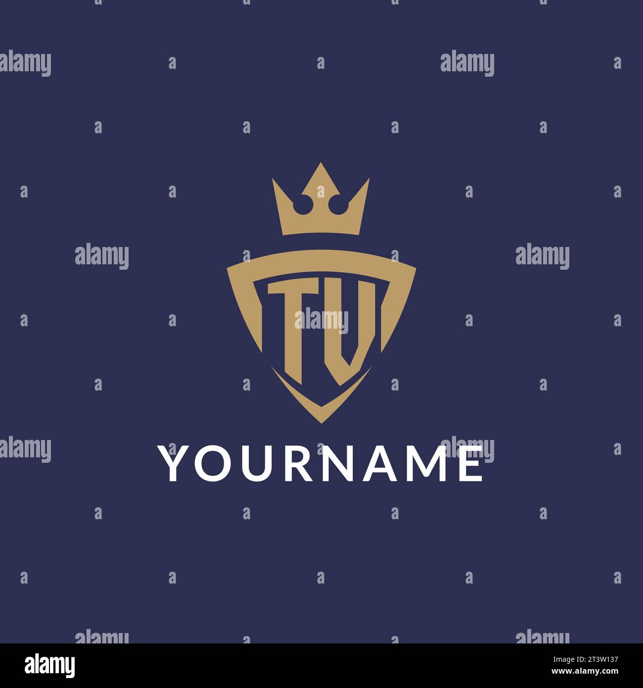 TV logo with shield and crown, monogram initial logo style vector file Stock Vector