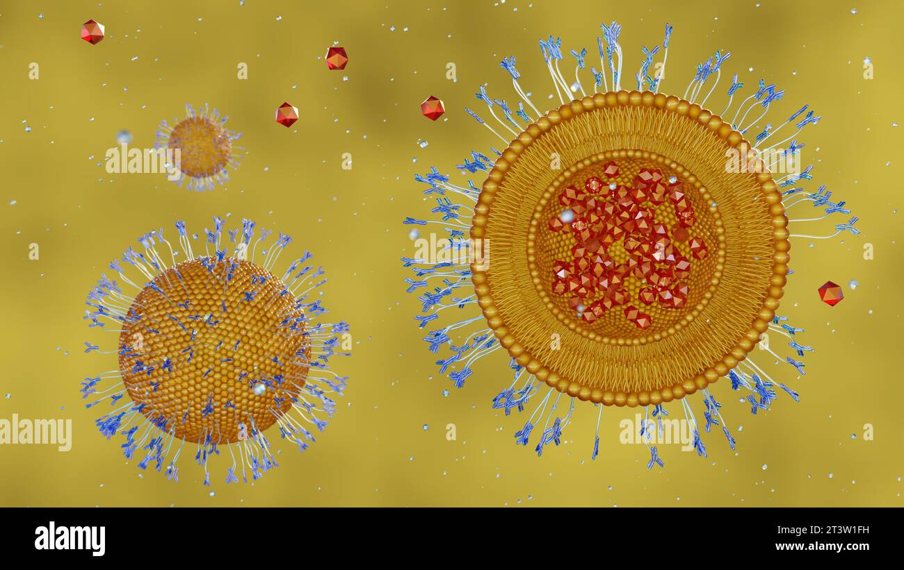 Antibodymodified liposomes, immunoliposomes, can deliver encapsulated