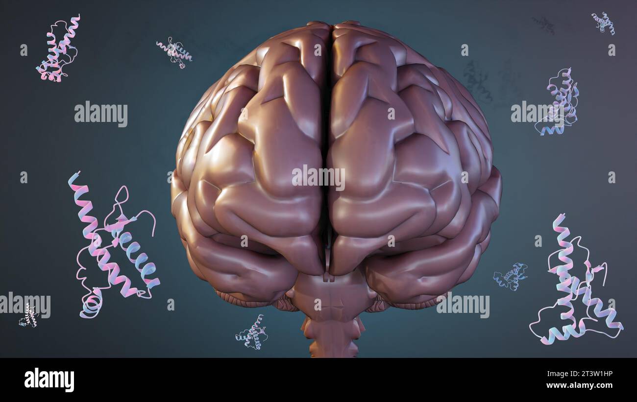 3d rendering Prions, unlike other infectious agents such as bacteria, viruses, and fungi, do not contain genetic material Stock Photo