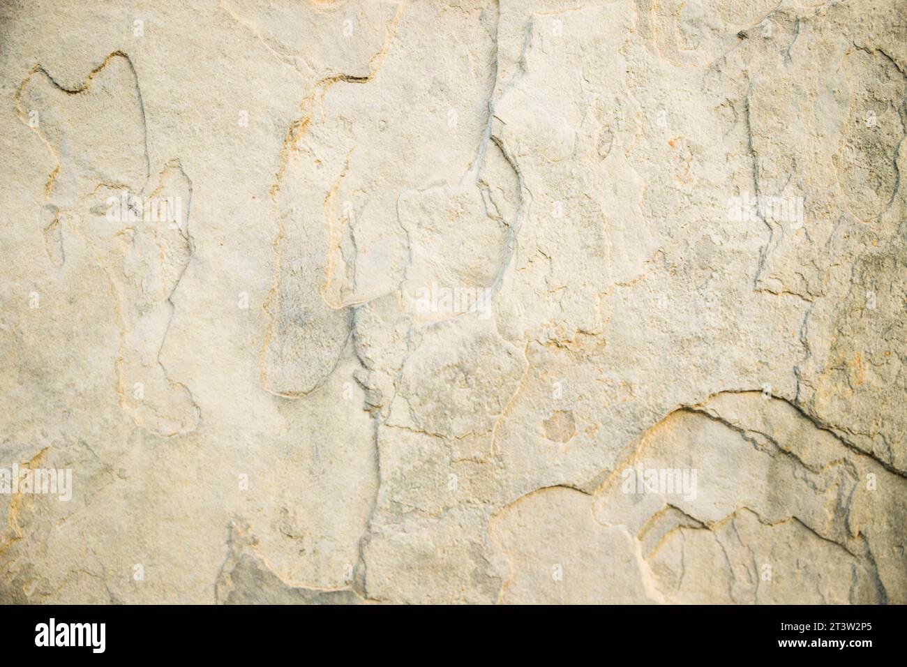 Close up luxurious marble hi-res stock photography and images - Alamy