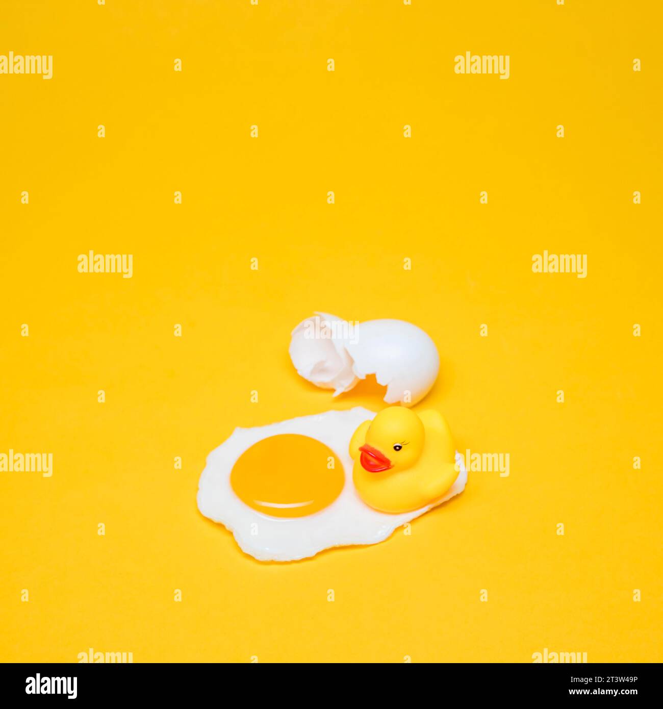 Yellow Still Life Egg Stock Photo Alamy