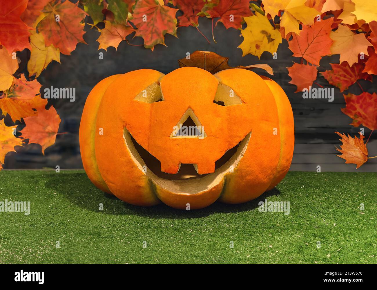 The carved Halloween pumpkin Stock Photo - Alamy
