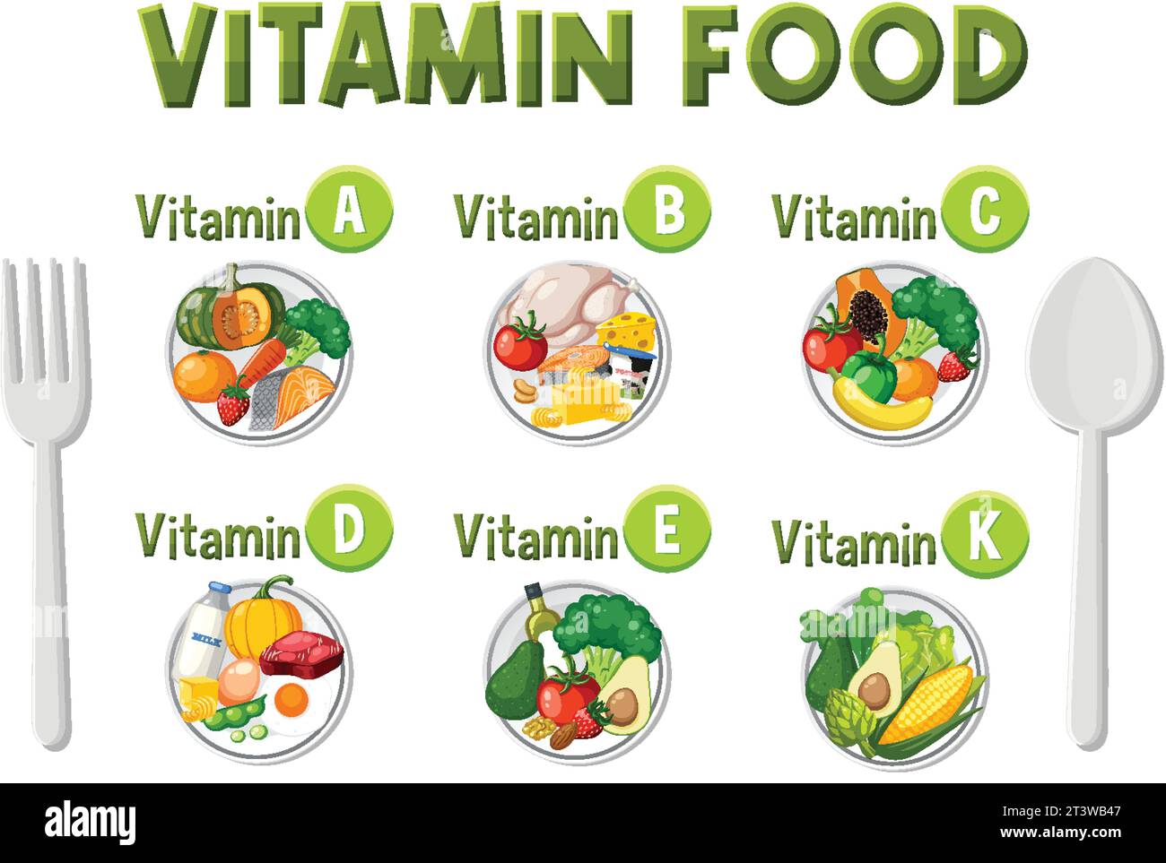 Illustration of various food types categorized by their vitamin content ...