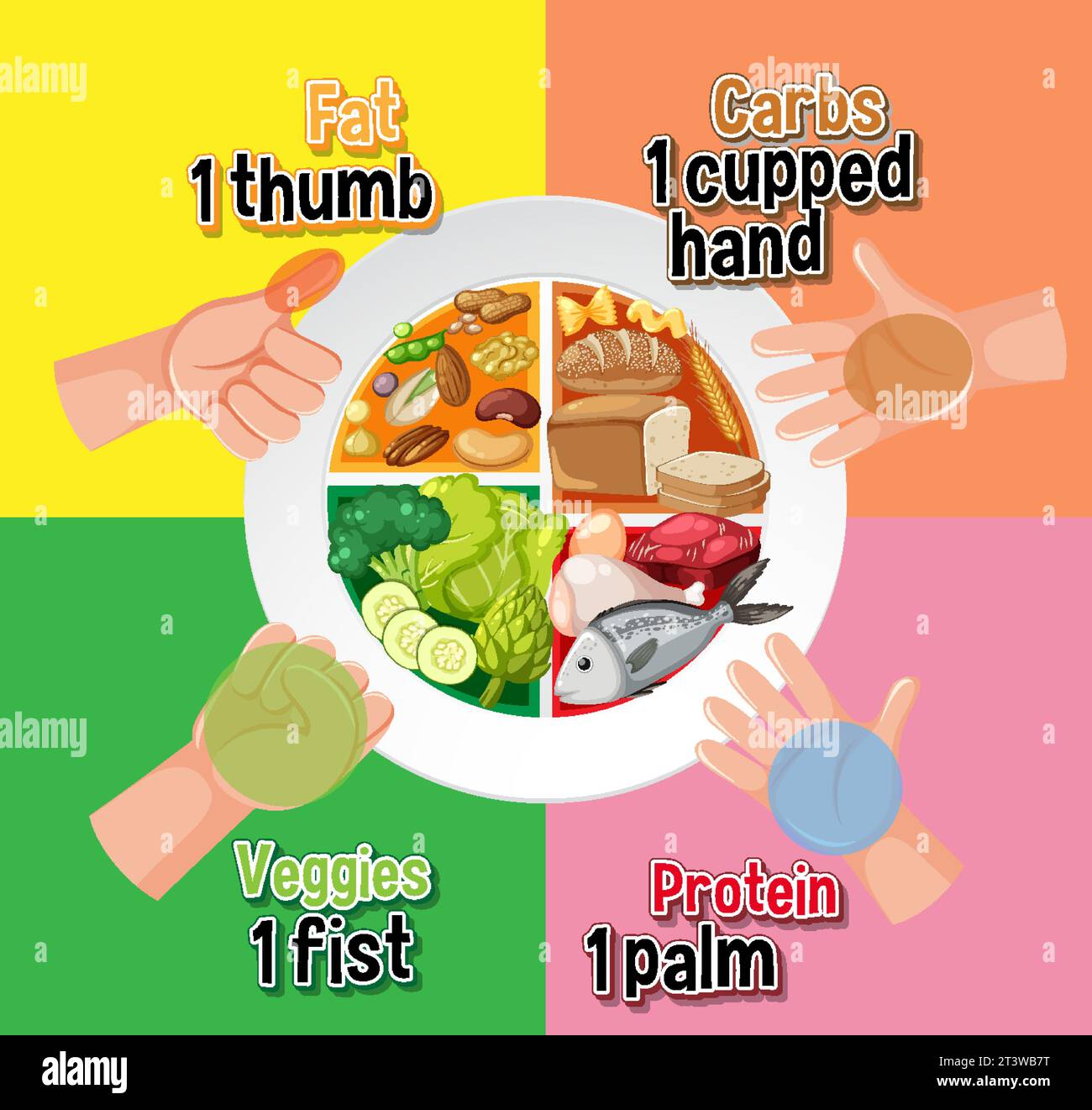 Comparing Food Amounts Using Hand Portion Sizes Stock Vector Image 