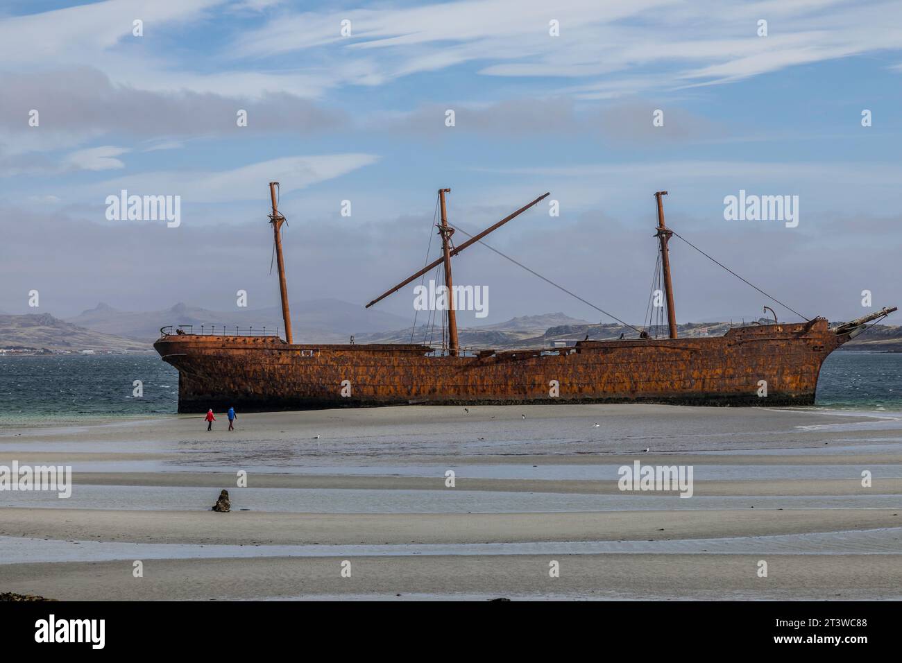 The wreck of The Lady Elizabeth, sitting on a sand bank in Whalebone Cove, Stanley, Falkland Islands. Stock Photo