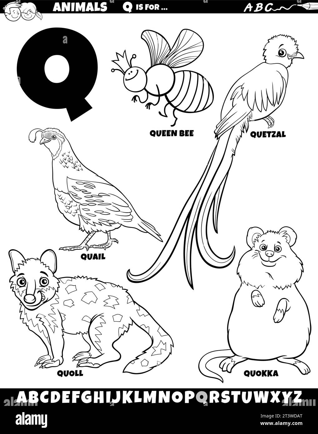 Cartoon illustration of animal characters set for letter Q coloring