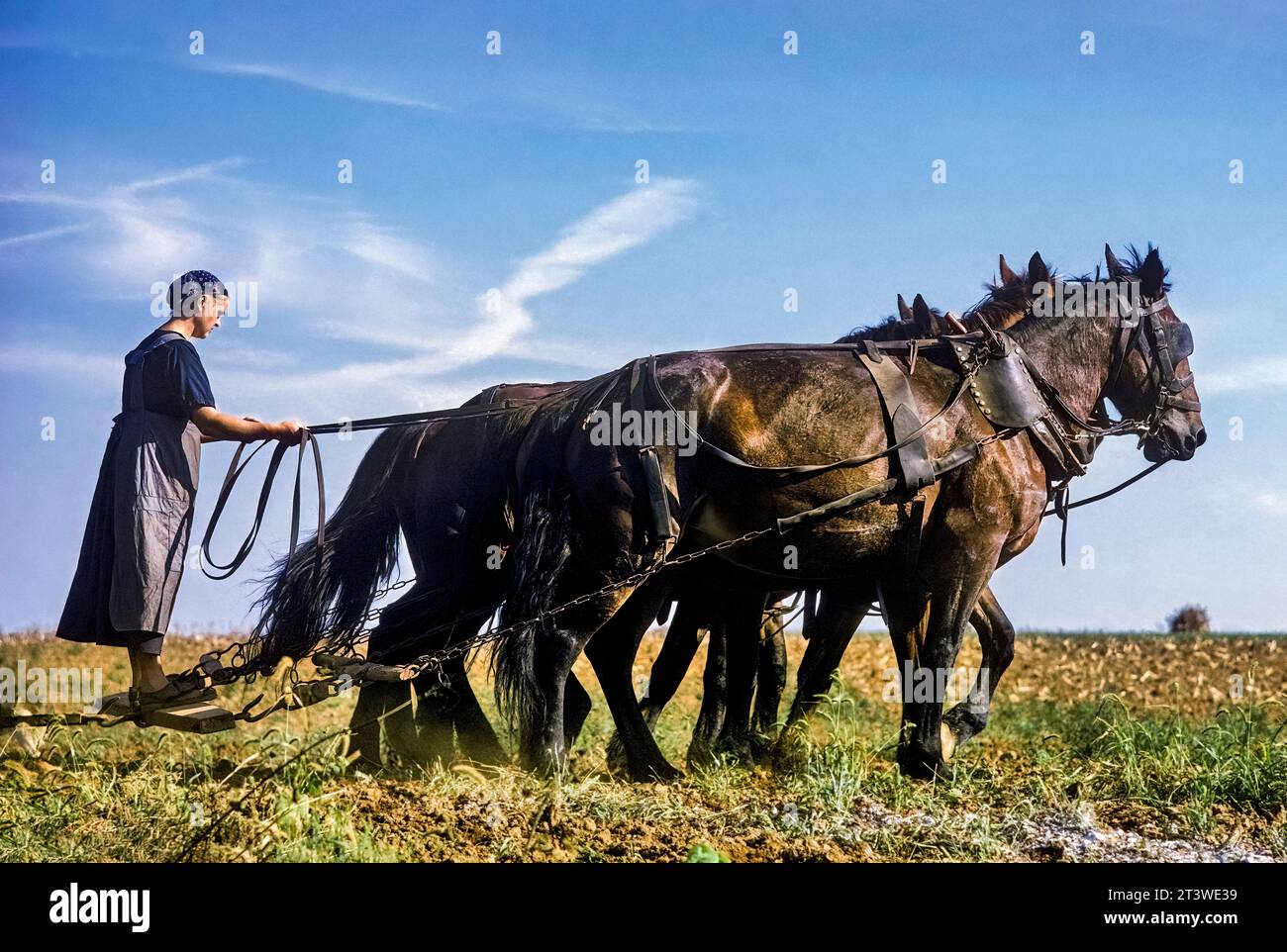 Amish woman plowing hi-res stock photography and images - Alamy