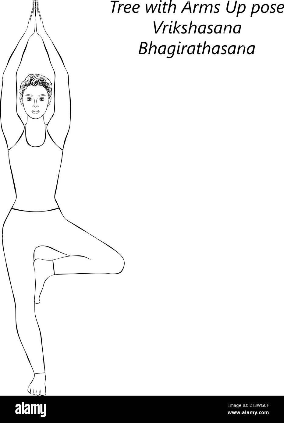 sketch of young woman doing yoga vrikshasana tree with arms up pose isolated vector illustration 2T3WGCF