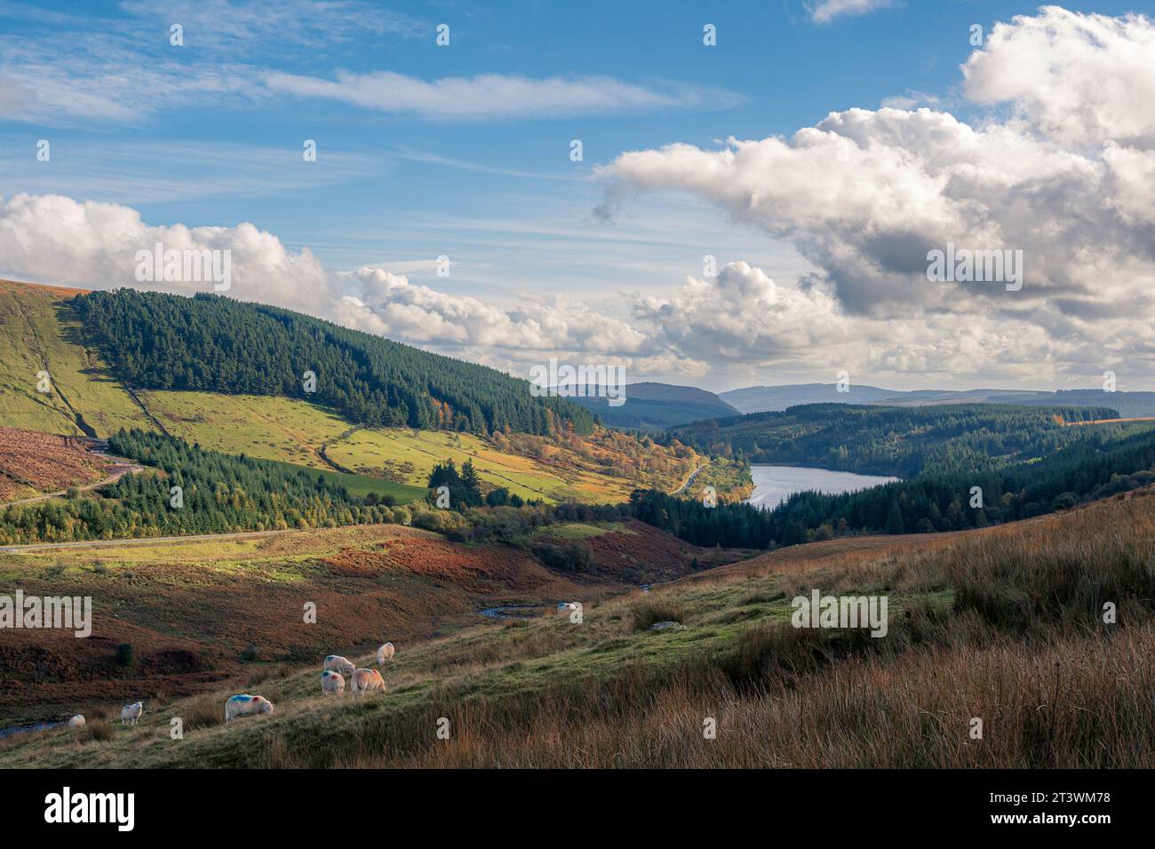 A view of the Cantref Reservoir, in the Brecon Beacons, on a summers day Stock Photo