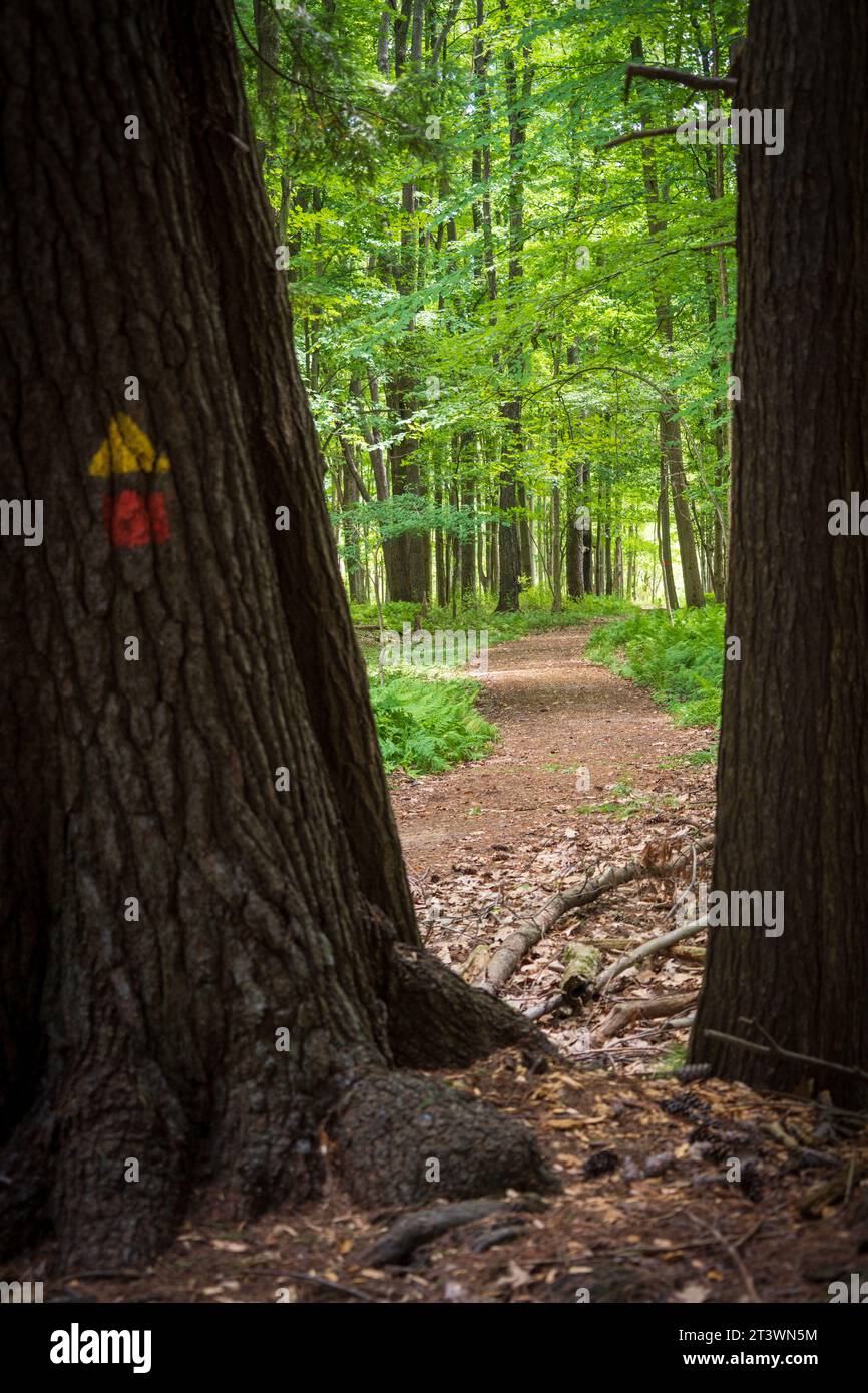Jamestown Audubon Center and Sanctuary in New York Stock Photo Alamy