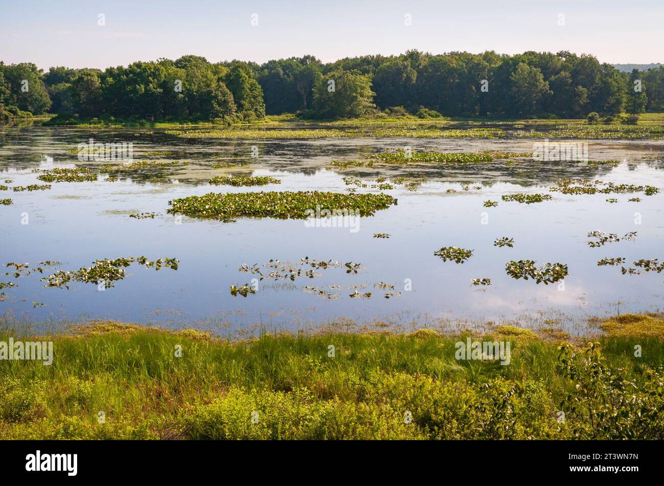 Jamestown Audubon Center and Sanctuary in New York Stock Photo Alamy