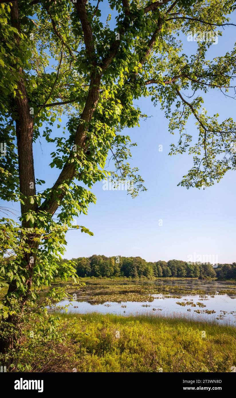 Jamestown Audubon Center and Sanctuary in New York Stock Photo Alamy