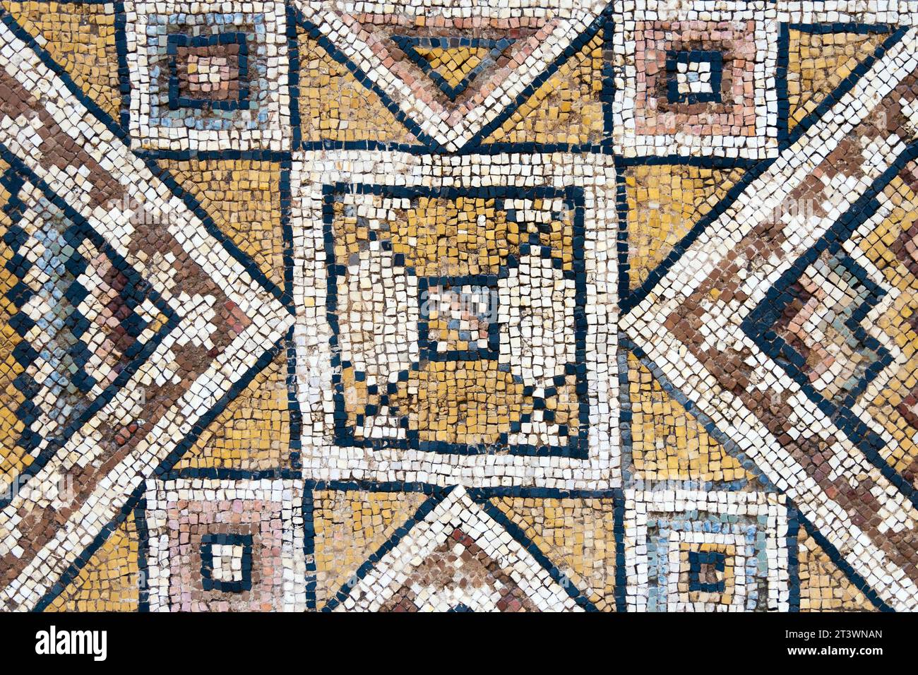 Hierios and Theodoros mosaics, Apamea, Syria, Royal Museums of Art and History, Brussels, Belgium Stock Photo