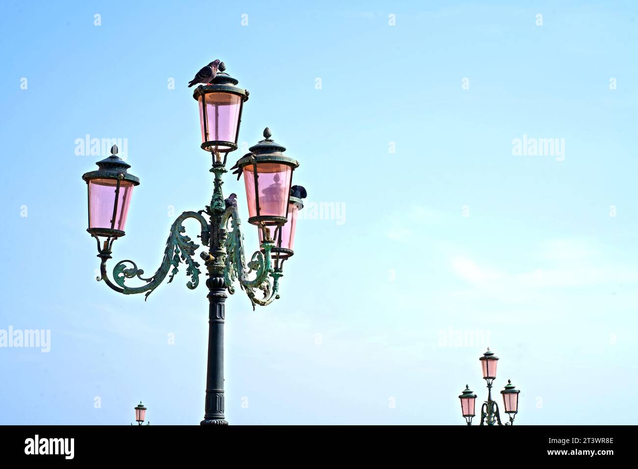 The famous pink lights of Venice. Four lamps with pink glass are on an