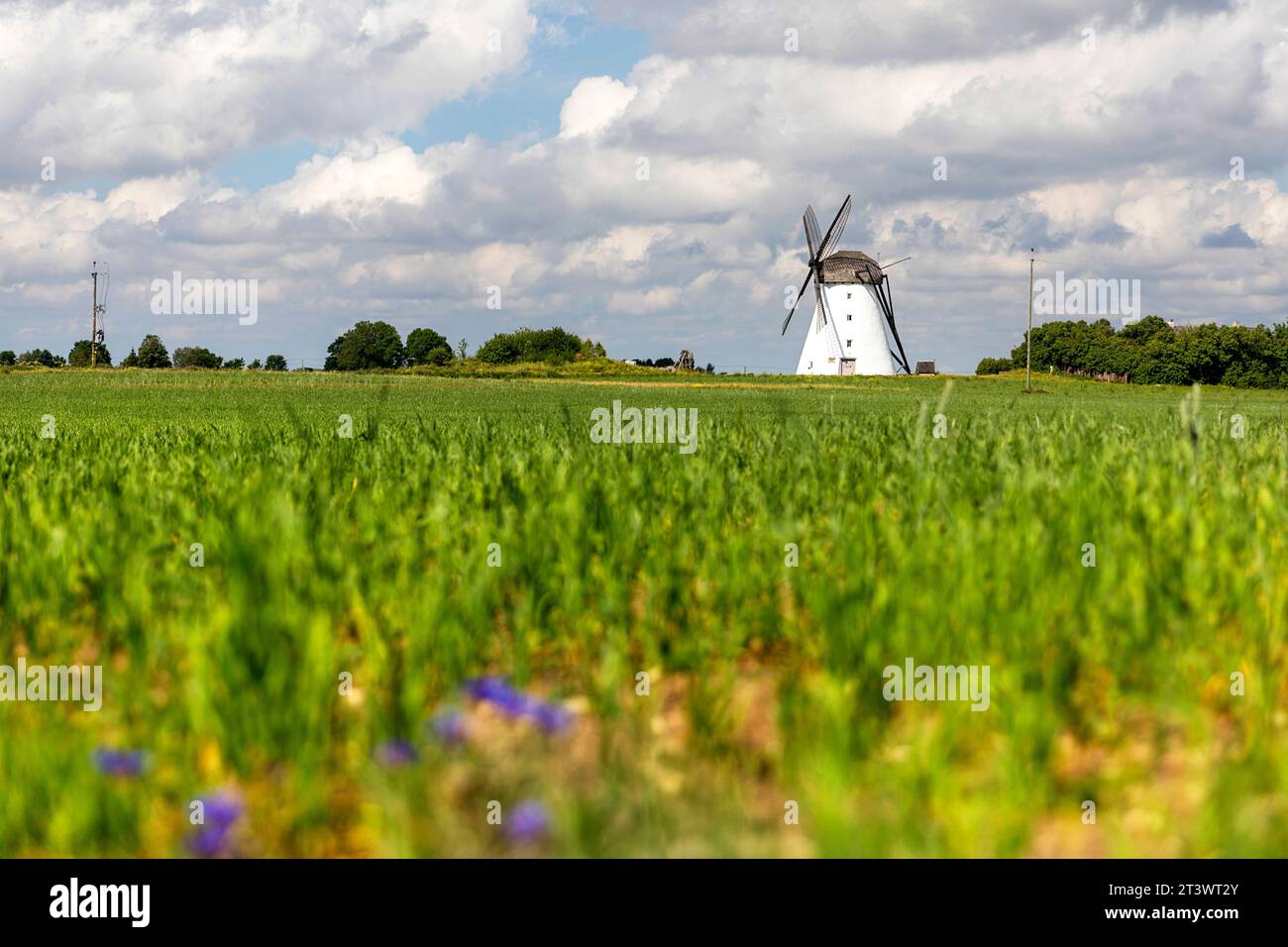 Scenic Seidla windmill, traditional windmill in the rural area of Estonia Stock Photo