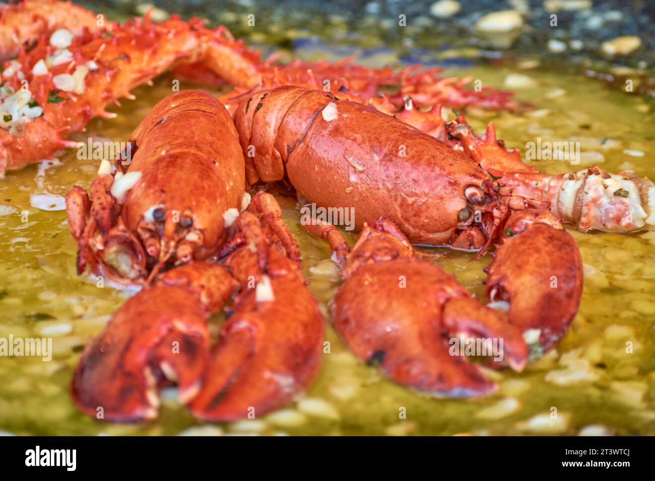 lobster in white wine sauce Stock Photo