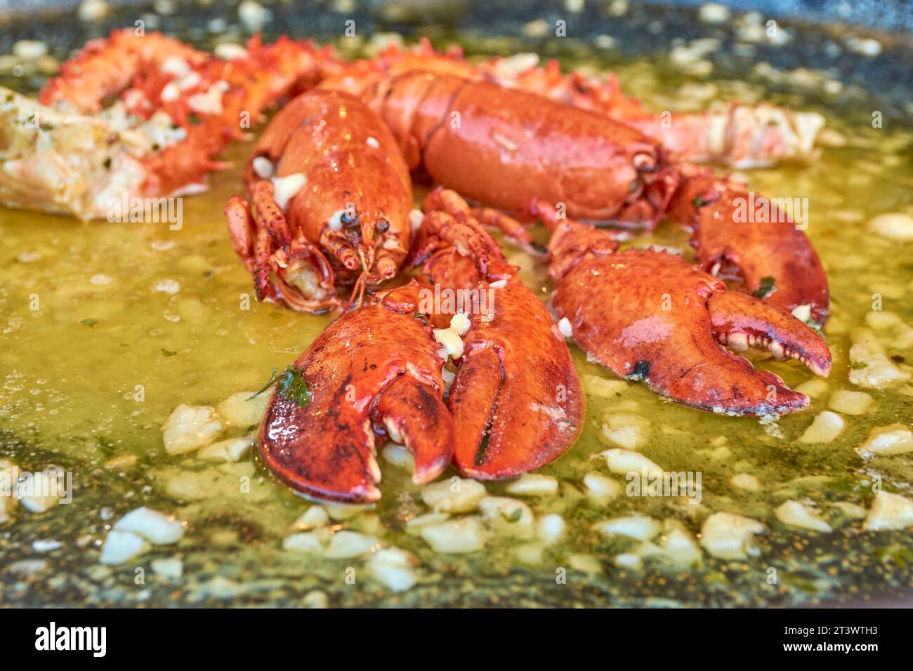 lobster in white wine sauce 2 Stock Photo